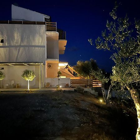 Ayeras 2 Apartment Pitsidia Exterior foto